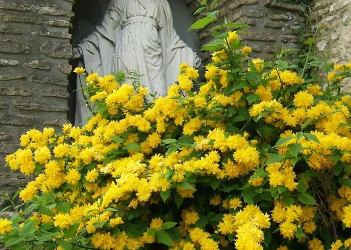 빌라 Spacious & Bright On D-day Beaches *